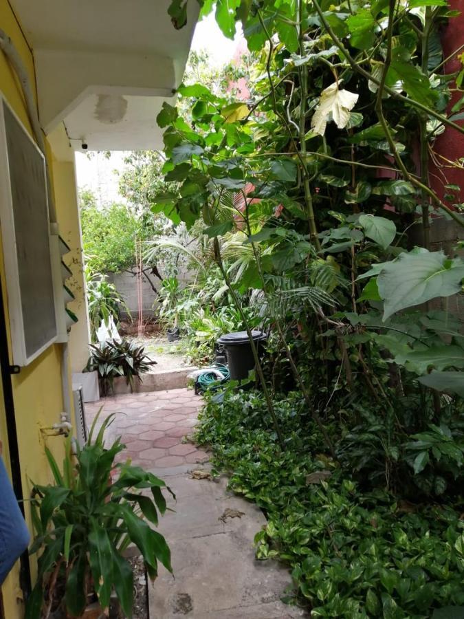 Gaviota Appartement Playa del Carmen Buitenkant foto